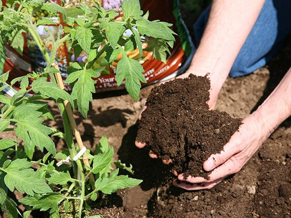 復合肥料案例展示